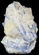 Kyanite Crystal Cluster with Quartz - Brazil #44995-1